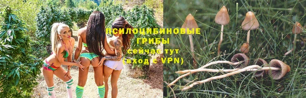 бутират Белоозёрский