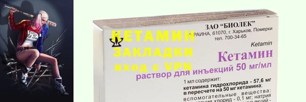 шишки Горно-Алтайск