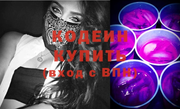 шишки Горно-Алтайск