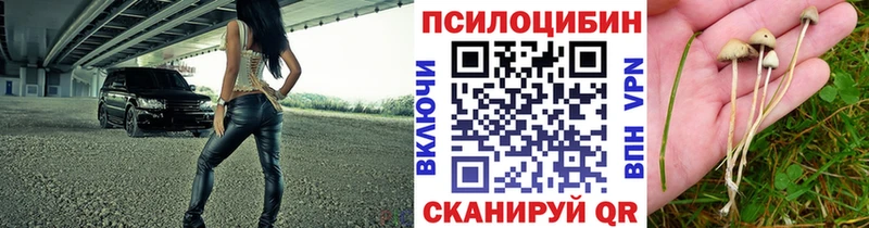 Псилоцибиновые грибы мухоморы  Дагестанские Огни 