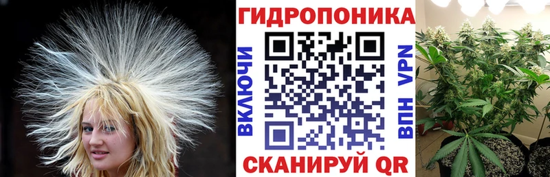 Шишки марихуана OG Kush  Дагестанские Огни 